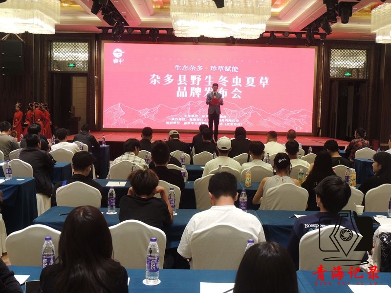 青海杂多“福草”品牌正式发布：生态赋能 开启冬虫夏草产业新篇章