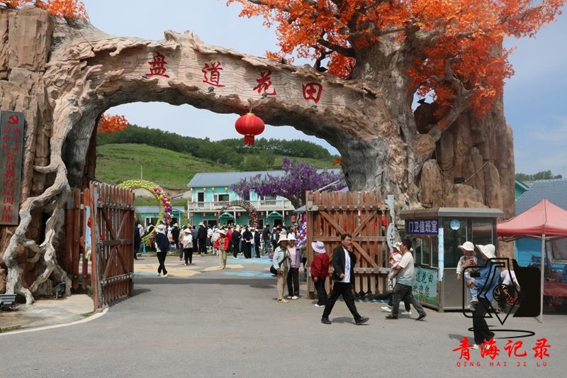 山水共和浪山季启幕 盘道花田焕新开园——西宁市湟中区共和镇农文旅深度融合再添新名片